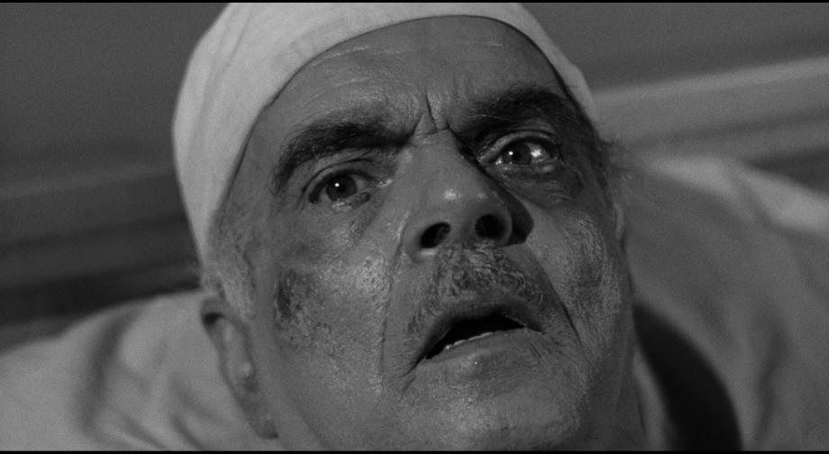 Michael Mark in The Wasp Woman (1959)