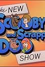 The New Scooby and Scrappy-Doo Show (1983)