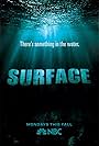 Surface (2005)