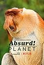 Absurd Planet (2020)