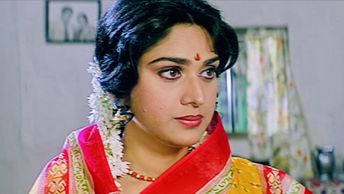 Meenakshi Sheshadri in Damini (1993)