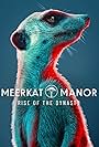 Meerkat Manor: Rise of the Dynasty (2021)