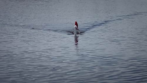 Trying to survive the family Christmas, Cody makes a wish to be alone, which ends up backfiring when a shark manifests and kills his entire family.