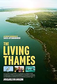 Primary photo for The Living Thames