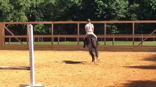 Equestrian / Jumping Lesson