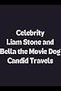 Celebrity Liam Stone and Bella the Movie Dog Candid Travels (2012)