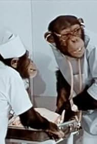 Lancelot Link: Secret Chimp (1970)