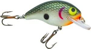 F9148V Super Teeny Wee-R Crankbait 1 1/2" 1/8 oz - Fishing Bait for Salt Or Freshwater