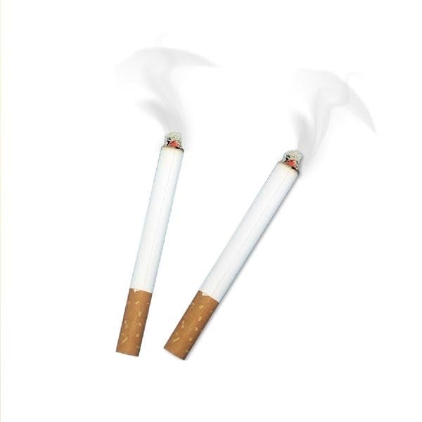 Ebiz 2 Fake Cigarettes Smoke Effect Stuffing and Catching