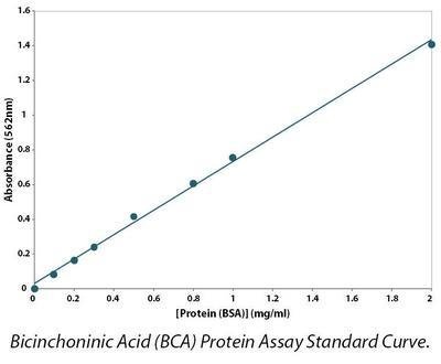 G-Biosciences Micro Bicinchoninic Acid (Bca) Protein Assay