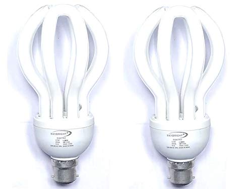 SKYBRIGHT CFL LOUTAS 65 WATT PACK-2