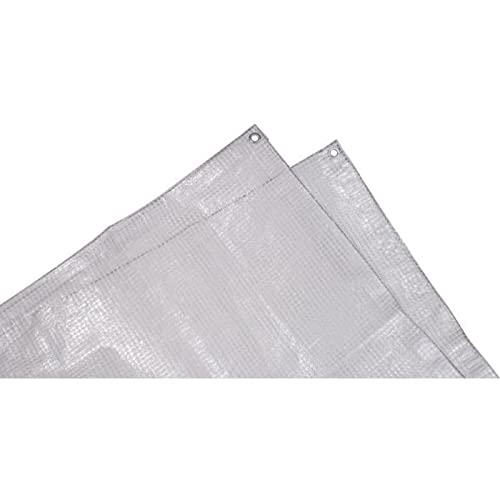 Tec Hit 884304 Heavy Duty Tarpaulin 230 g/m² 3 x 4 m Transparent.