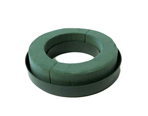 Foam Rings 6" Two (2) Per Order MaxLife Foam Rings - Green Mache-Backed by Oasis