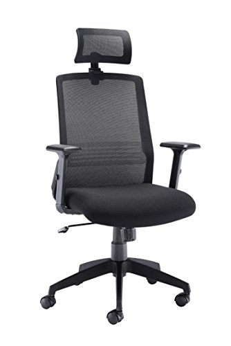 Office HippoHigh Back Office Chair with Arms, Mesh Office Chair for Home, Lumbar Support and Adjustable Arms, Swivel, Fabric, Black