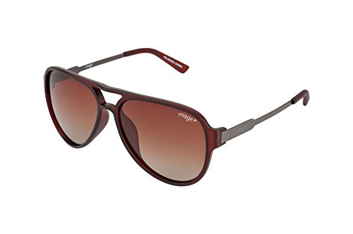 Image Aviator Sunglasses (Matt Brown And Matt Gun Metal) (Ims481C4Psg)