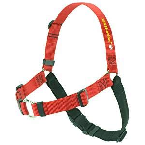 SofTouchThe Original Sense-ation No-Pull Dog Training Harness (Red, Extra Small, Wide)