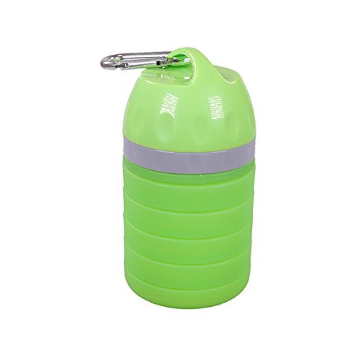 Rosewood Unique Design Collapsible Outdoor Dog Travel Water Bottle, Green