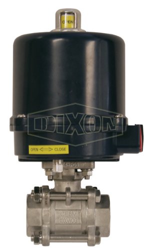 Dixon BV2IG-30011-EK 3" 316Ss 3 Piece Electric Actuated FNPT Ball Valve with Heat, 220 VAC, NEMA4