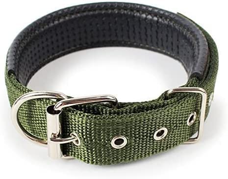 PETSARY Durable Sturdy Dog Collar | Super Safety & Comfort Quick Release | Heavy Adjustable Double Thick Duty Tough Nylon Military Style | Collar with Metal D Ring Medium to Large Breeds Green X Large