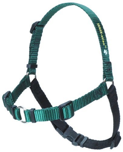 Sense-ation No-Pull Dog Harness (Green, Small)