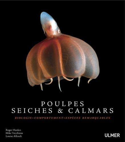 Poulpes, seiches et calmars