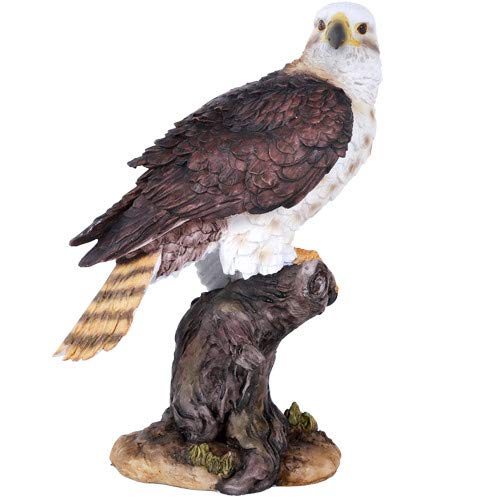 Pacific GiftwareWildlife Red Tailed Hawk Eagle Birds of Prey Figurine Statue 10 Inch