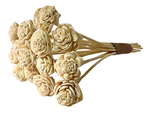 Crazy Sutra Premium Bleached Rattan Reed Flower Sticks for Reed Diffuser - Pack of 6 reed flower sticks