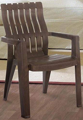 Cane Arts Maharaja Back Support Lumber Chair (Wood Colour/ Brown, Plastic)- Set of (1)