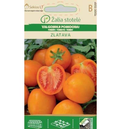 Seklos LT | Tomato ZLATAVA Seeds | Vegetable Seeds | for Gardening | 40 Seeds