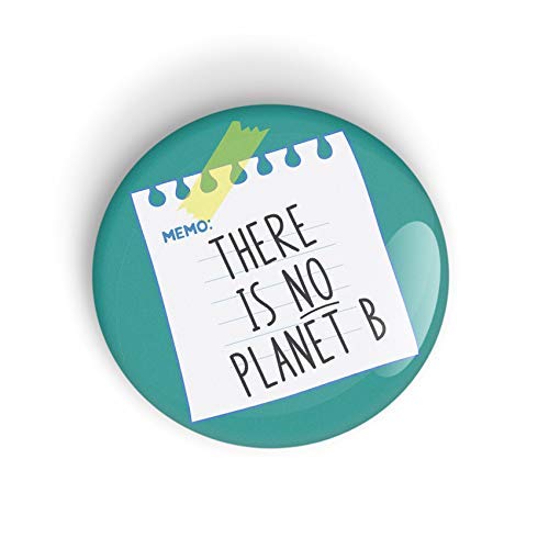 There is No Planet B pin badge button - pinback or magnet, Environment and Global Warming