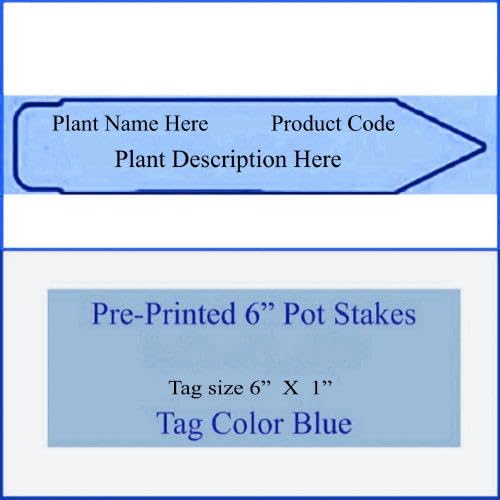 ( 75 ) Pre-Printed 6" Blue Pot Stick Tags for Lavender Cotton Santolina