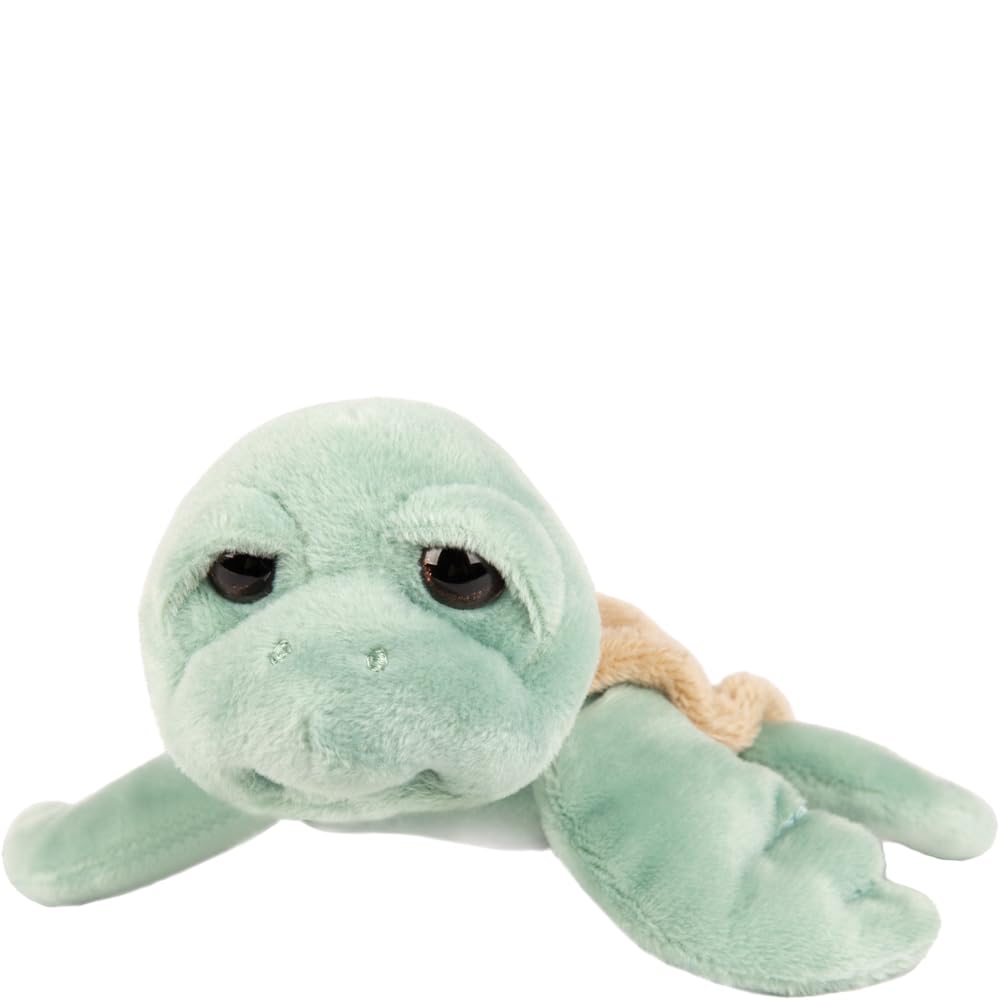 Suki Gifts, Small Caspian Turtle, Minty Green Plush Toy, 14cm, 14469