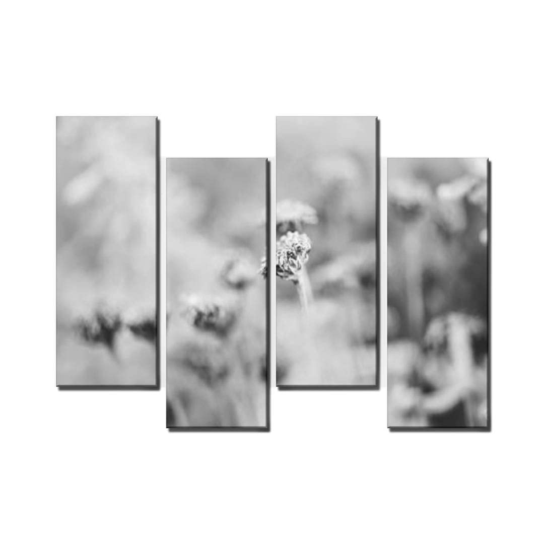 Black and White Canvas Wall Art for Living room Artistic Nature Santolina plant in winter 4 Panels Decor d Ready to Hang for Home Bathroom Kitchen Office Decoration