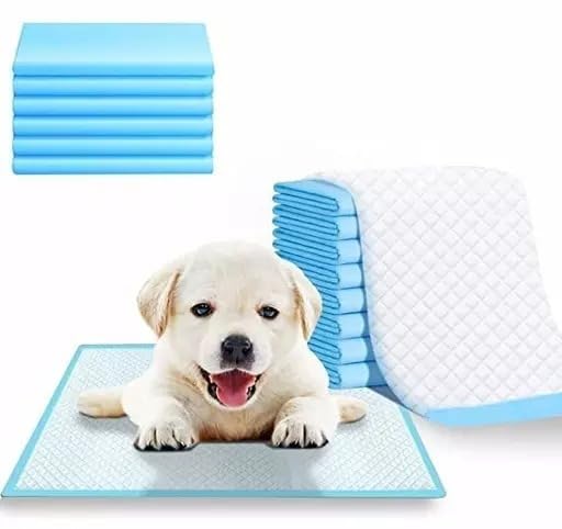 DNOTRO Disposable Pet Training Pads 60x90 cms Small Puppy Pee and Potty Pads with Quick Drying Surface & Absorbent Core, Suitable for Small/Medium/ Breed Pets, Dogs, Cats - Pack of 1, 10 pcs