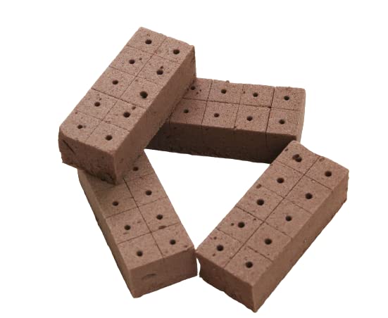 WE Hydroponics Oasis Cubes - Box of 40 Cubes, Soil Less Germination Cubes, Size - 2.5 x 2.5 x 3.7 cm Each Cube,Standard Size