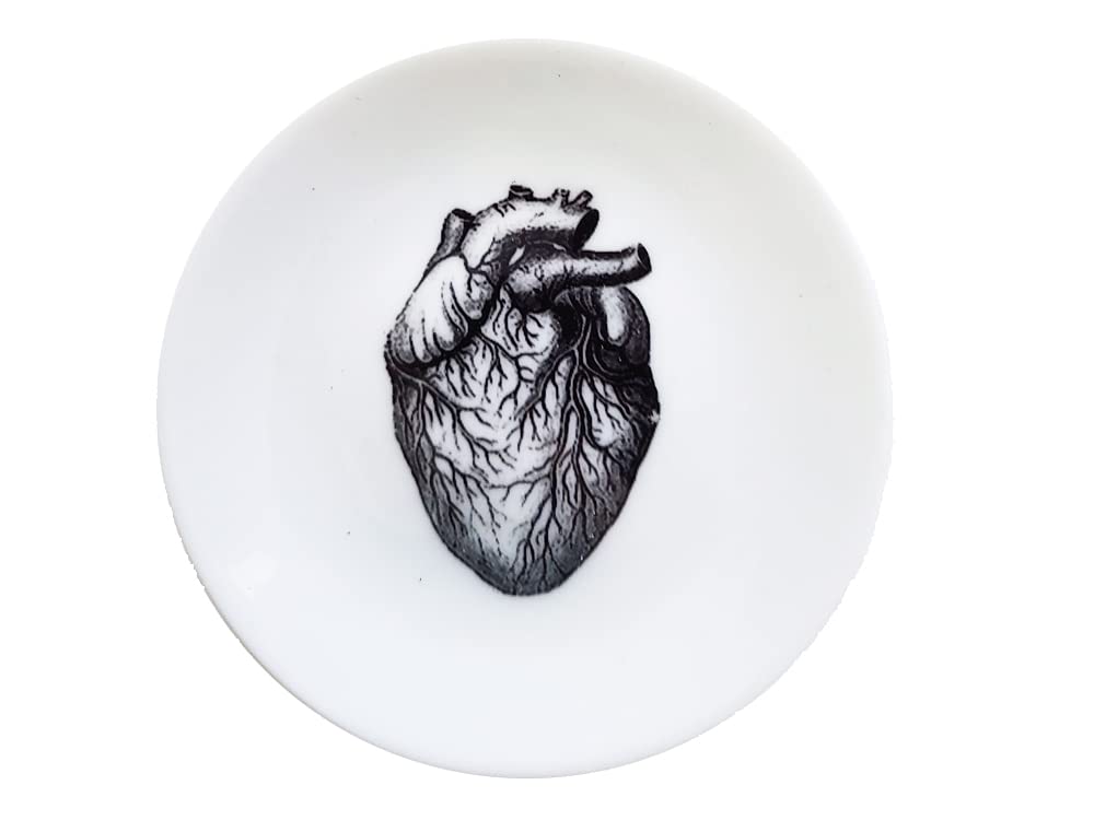 Small Shallow Ceramic Plates 3, 4 or 5 inch Size Anatomy Theme Graduation Gift Ring Dish