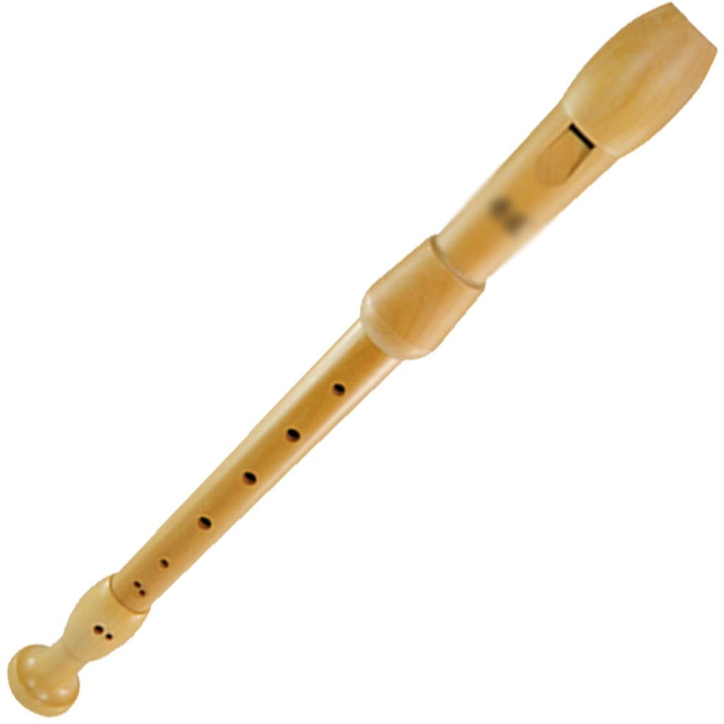 WXBHOZMusic Recorder Instrument,Beginner Adult German/Baroque Alto Recorder, 8-hole Wooden Professional Playing Flute Instrument, Storage Bag + Cleaning Stick