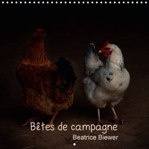 Betes de campagne 2016: Des animaux de nos campagnes (Calvendo Animaux) (French Edition)