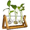 TECHSHARE Propagation Station for Plants, Terrarium for Hydroponic Plants, Plant Terrarium with Wooden Stand Decorate Office, Dining Table, Interior(3 Bulb Vase)