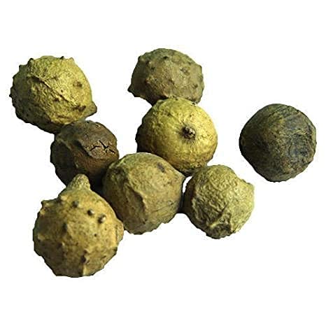 Ifra Sree Madhava Sai Organics Dried Masikkai/Magic nut/Gallnut/Oak Gull/Majuphal - 50 Grams