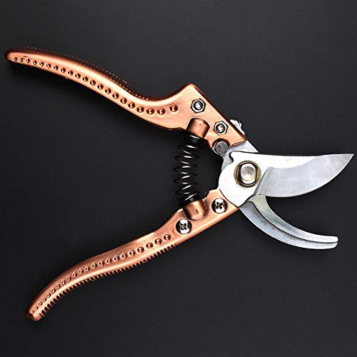 WDXN Nursery Garden Fruit Pruning Shear, Heavy-duty Herb Scissors,all-purpose For Household,secateur,plant Branch Twig Cutting Tools,multi Functional Garden Scissors,Bronze