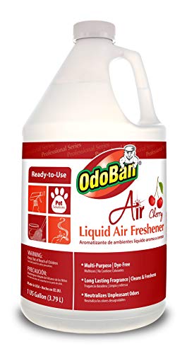 OdoBan Professional Cleaning Ready-to-Use Liquid Air Freshener