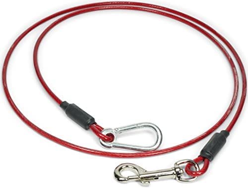 Dream Home 6Foot Dog and Puppy Training Leads Tie Out Cable/Leash (6 Foot Tether, 5mm) White & Red.