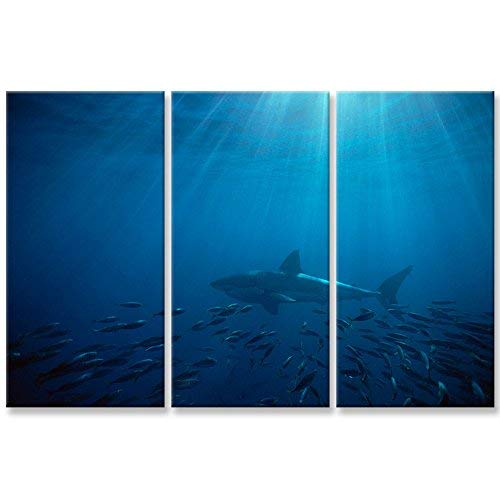 So Crazy Art- White Shark in The Blue Ocean Wall Art Decor Marine Life Canvas Pictures Artwork 3 Panel Animal Painting Prints for Home Living Dining Room Kitchen