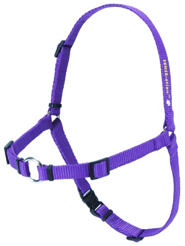 SoftouchSense-ation No-Pull Dog Harness (Purple, Extra Small)