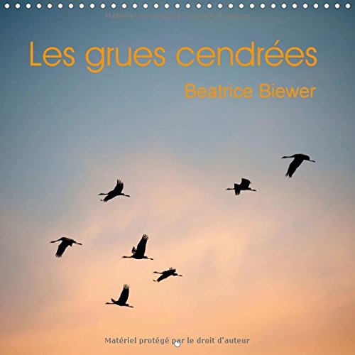 Les grues cendrées 2016: Le vol des grands migrateurs (Calvendo Animaux)