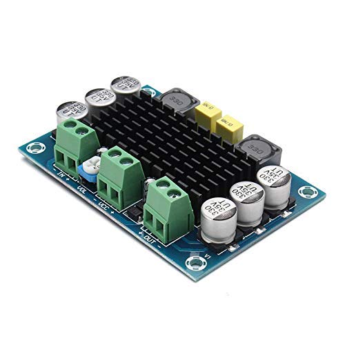 DHRUVPRO XH-M542 Mono 100W Digital Power Amplifier Board Digital Audio Amplifiers