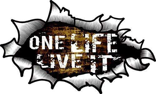 CT Design One Life Live It Funny Slogan with OVAL RIPPED OPEN TORN METAL Effect Motif Vinyl Car Sticker 150x90mm