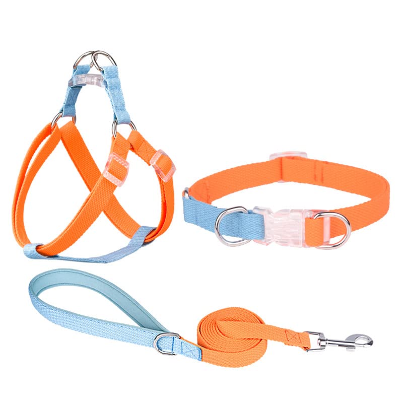 AIITLE Easy Walk Dog Halter Harness - No Pull Dog Harness Collar Leash Set with Padded Handle - Escape Proof No Choke Pet Harness for Small Dogs Orange-Blue S