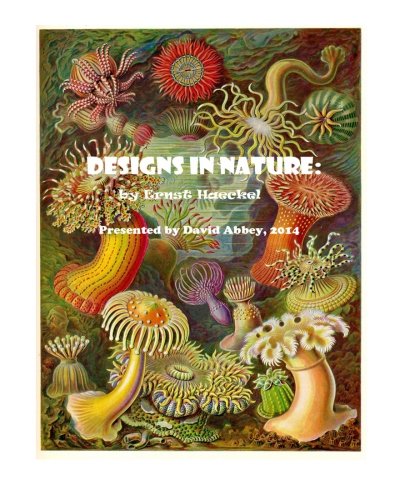 Designs in Nature: the incredible art of Ernst Haeckel